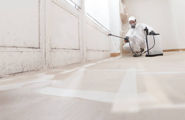 24/7 Emergency Crawl Space Mold Removal experts in Conshohocken, PA